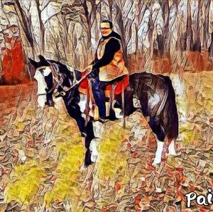 Meet your Posher, Judy